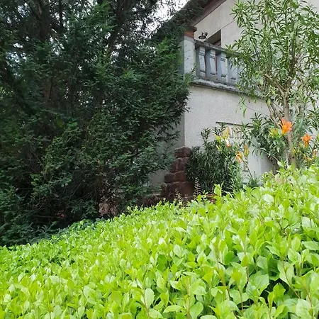 Apartment Kasza *