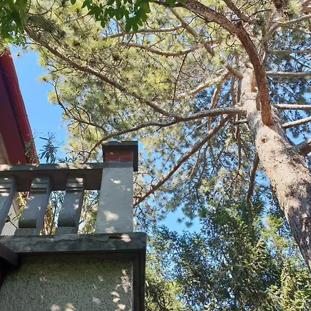 Kasza Appartement Balatonfüred