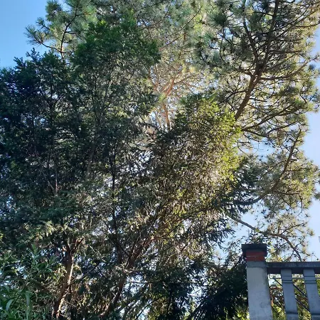 Appartamento Kasza Balatonfüred