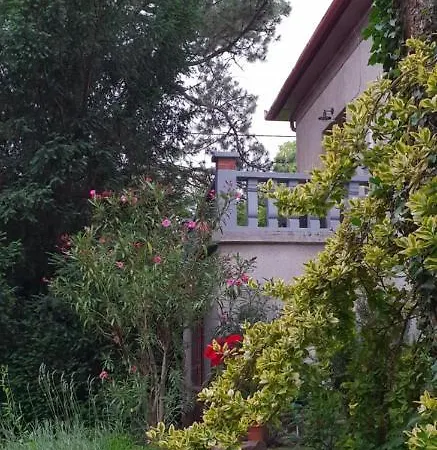 Apartment Kasza *