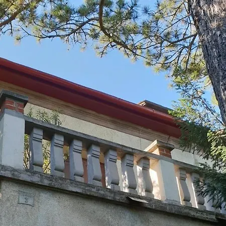 Kasza Apartment