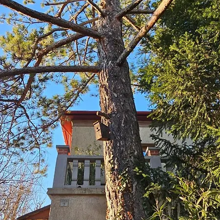 Kasza Apartment