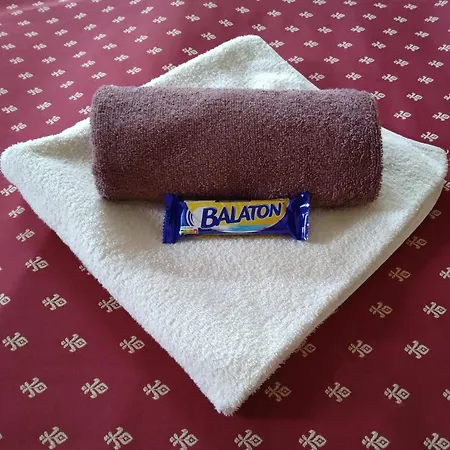Kasza Apartment Balatonfured