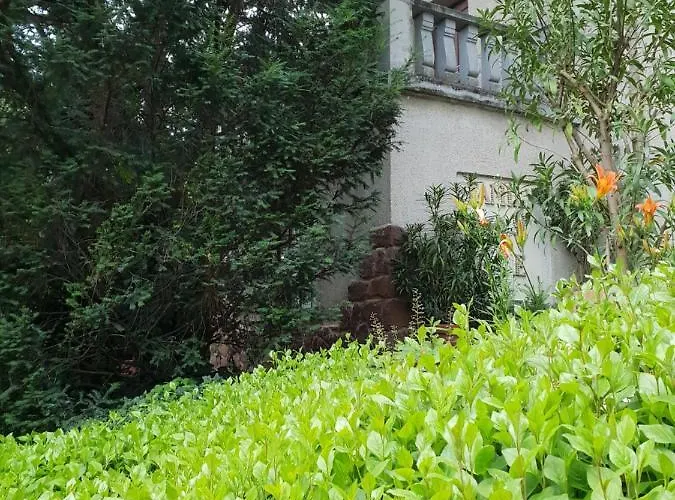 Apartmán Kasza *