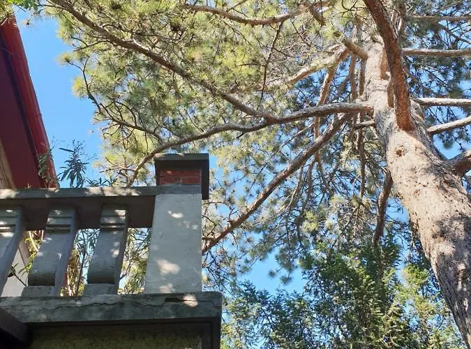Kasza Apartmán Balatonfüred