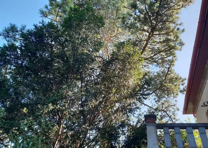 Lägenhet Kasza Balatonfüred