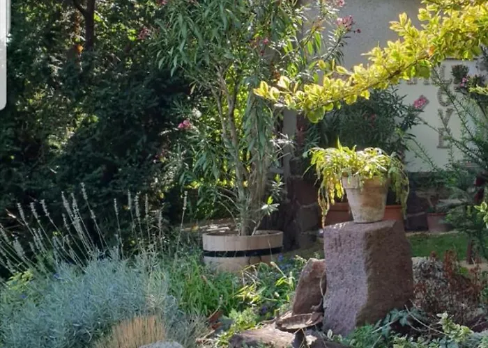 Kasza * Balatonfüred